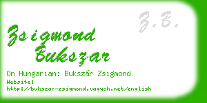 zsigmond bukszar business card