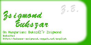 zsigmond bukszar business card